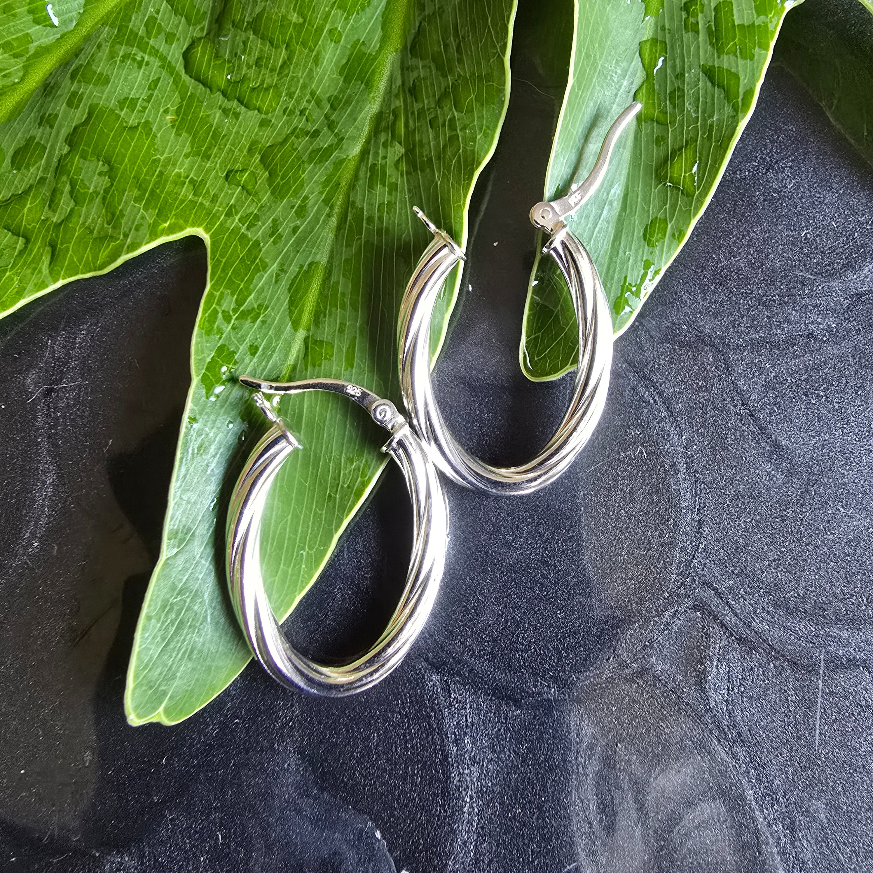 26mm Oval 3mm Twisted Hoops