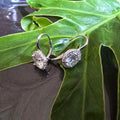 19mm Round Halo Cz Safety Clips