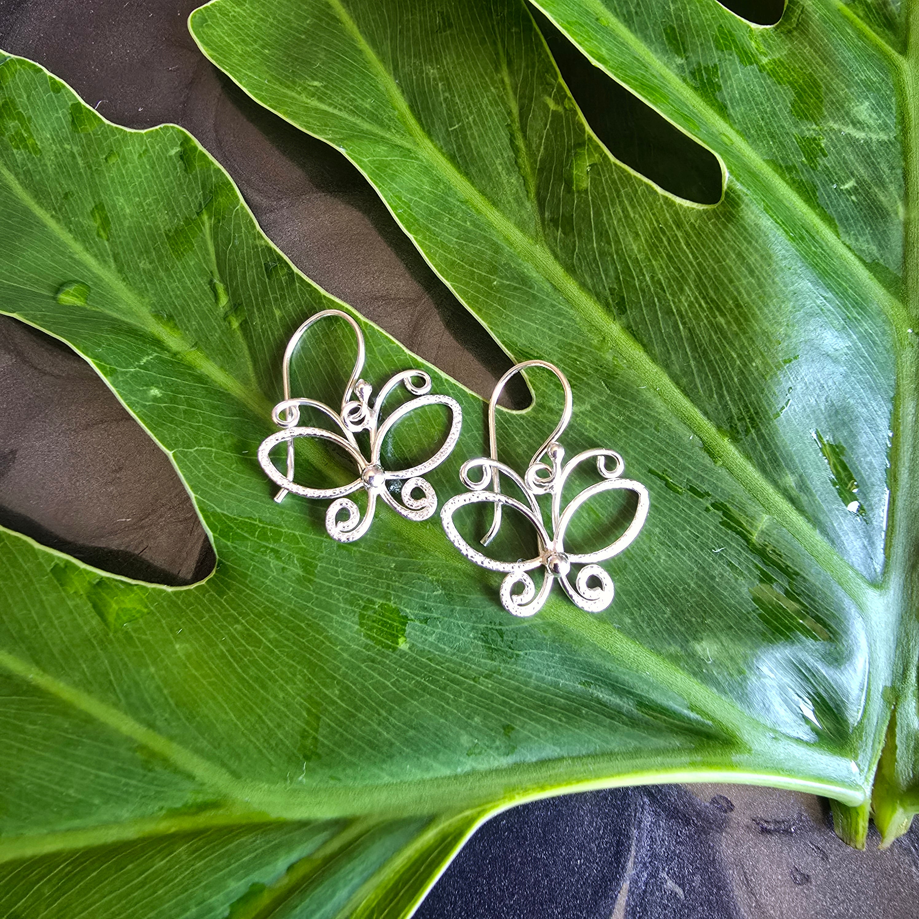 24mm Butterfly