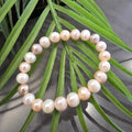 Peach Variety Elastic band