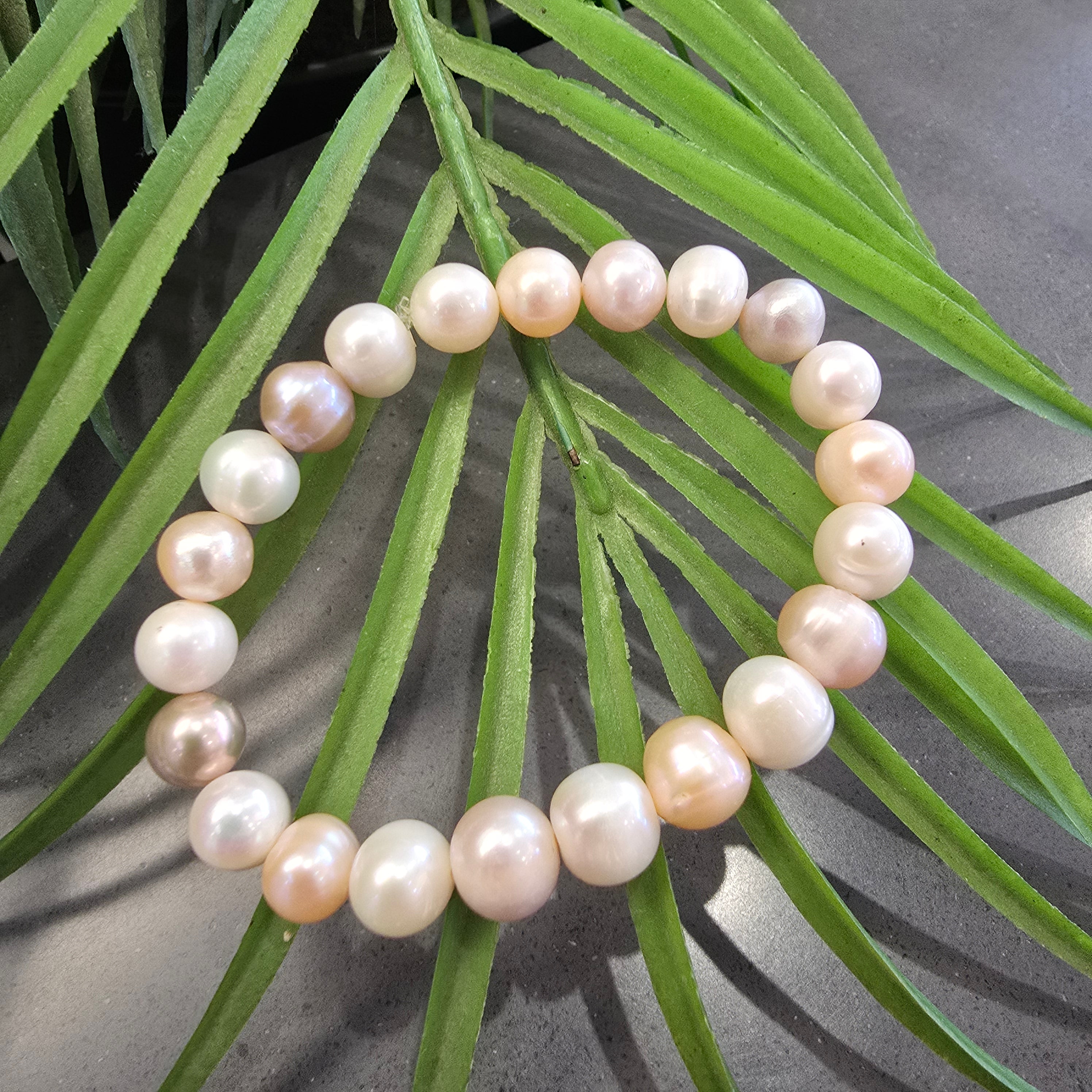 Peach Variety Elastic band