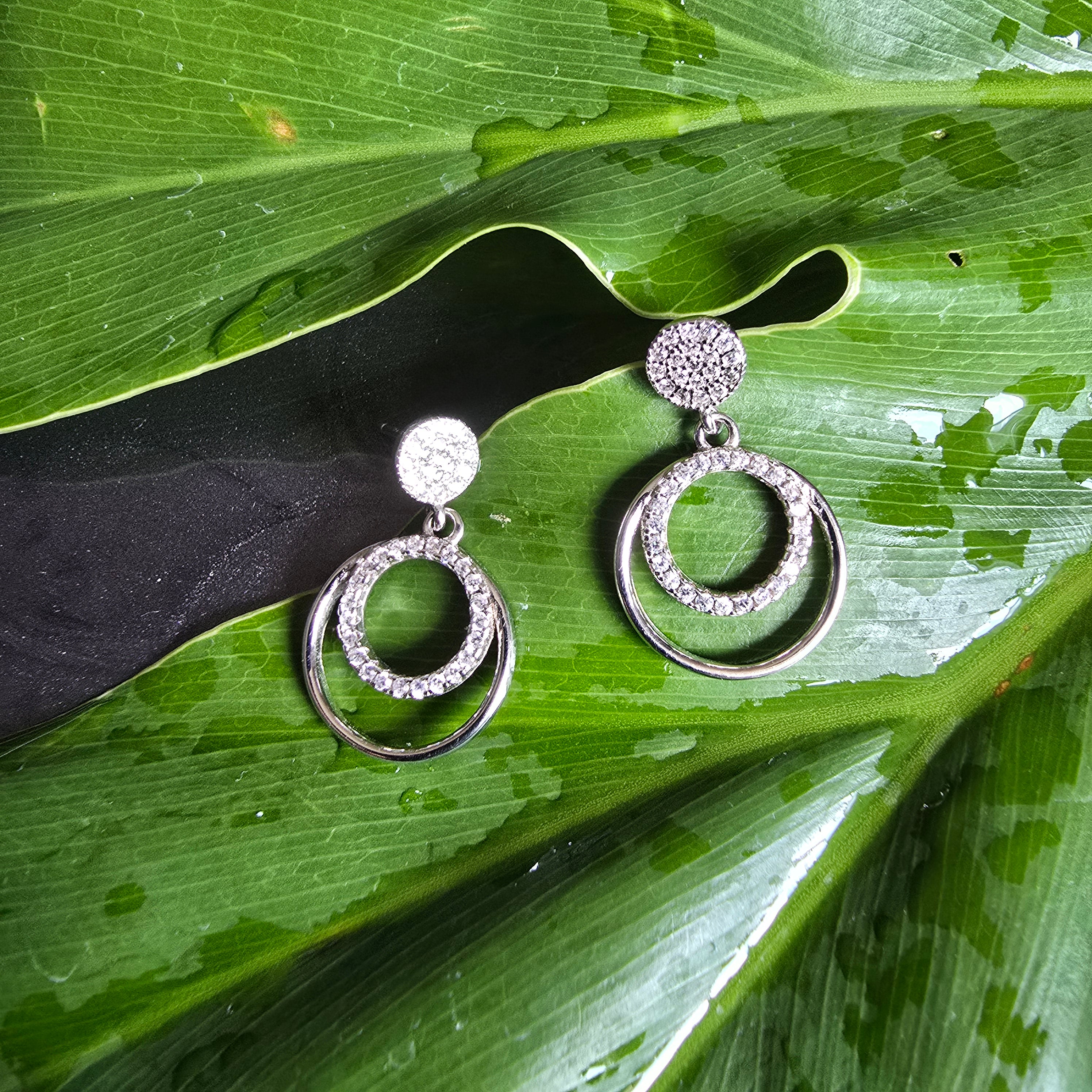 24mm Cz Circles